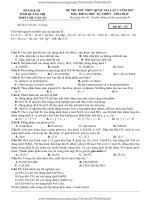 20  thpt chu van an quang tri nam 2017 lan 1 co loi giai 