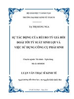 Sự tác động của rủi ro tỷ giá hối đoái tới tỷ suất sinh lợi và việc sử dụng công cụ phái sinh 