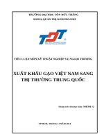 TIỂU LUẬN MÔN KỸ THUẬT NGHIỆP VỤ NGOẠI THƯƠNG: XUẤT KHẨU GẠO VIỆT NAM SANG THỊ TRƯỜNG TRUNG QUỐC