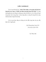 Một số biện pháp cơ bản phát triển đội tàu hàng khô của công ty TNHH Tân Bình trong giai đoạn 2015-2020