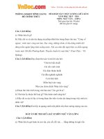 Đề thi giữa học kì 2 môn Ngữ văn lớp 6 Bình Giang