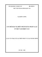 Cơ chế bảo vệ Hiến pháp bằng Pháp luật ở Việt Nam hiện nay (LV thạc sĩ)