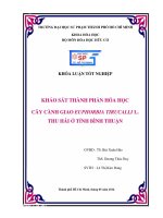 KHẢO SÁT THÀNH PHẦN HÓA HỌC CÂY CÀNH GIAO EUPHORBIA TIRUCALLI L. THU HÁI Ở TỈNH BÌNH THUẬN