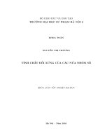 Tính chất đối xứng của các nửa nhóm số 