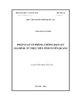Pháp luật về phòng, chống bạo lực gia đình từ thực tiễn tỉnh Tuyên Quang (LV thạc sĩ)