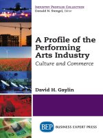 A profile of the performing arts industry  culture and commerce 