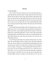 Kỹ năng định hướng nghề nghiệp của học sinh Trung học phổ thông tại thành phố Vũng Tàu, tỉnh Bà Rịa – Vũng Tàu