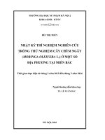 Nghiên cứu trồng thử nghiệm cây Chùm Ngây (Moringa oleifera L.) ở một số địa phương tại miền Bắc (LV tốt nghiệp)