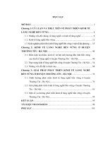LUẬN VĂN KINH TẾ ĐỘC QUYỀN: Kinh Tế Làng Nghề Bền Vững Ở Huyện Thường Tín, Thành Phố Hà Nội Hiện Nay