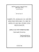 Nghiên cứu, đánh giá các chỉ tiêu hình thái nông học của một số giống lúa bản địa có khả năng kháng đạo ôn (LV tốt nghiệp)