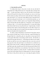 lý thuyết phát triển xã hội hài hòa và sự vận dụng của đảng cộng sản trung quốc trong công cuộc xây dựng đất nước