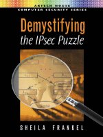 Demystifying the IPSec puzzle computer securities series 