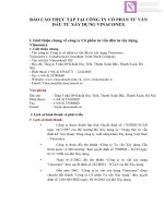 Báo cáo thực tập tại công ty cổ phần tư vấn đầu tư xây dựng vinaconex  