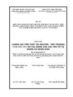 Báo Cáo Lượng Giá Tổn Thất Tài Nguyên – Môi Trường Vịnh Tiên Yên Do Tác Động Của Các Yếu Tố Tự Nhiên Và Nhân Sinh