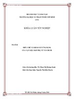ĐIỀU CHẾ VÀ KHẢO SÁT ỨNG DỤNG CỦA VẬT LIỆU HẤP PHỤ TỪ VỎ CHUỐI