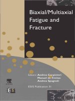 Biaxial multiaxial fatigue and fracture 
