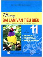 Những bài làm văn tiêu biểu lớp 11 phần 1 