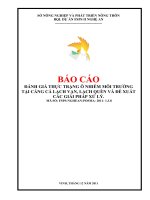 Đánh Giá Thực Trạng Ô Nhiễm Môi Trường Tại Cảng Cá Lạch Vạn, Lạch Quèn Và Đề Xuất Các Giải Pháp Xử Lý