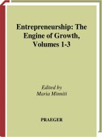 Entrepreneurship the engine of growth 