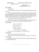 DE THI THU VAO 10  DAP AN MON VAN