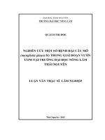 Nghiên cứu một số bệnh hại cây Mỡ (Manglietia glauca bl) trong giai đoạn vườn ươm tại trường Đại học Nông lâm Thái Nguyên (LV thạc sĩ)