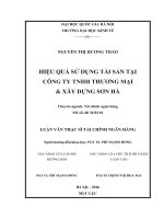 Hiệu quả sử dụng tài sản tại công ty TNHH thương mại và xây dựng sơn hà 