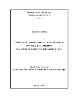 Chiến lược marketing mix cho sản phẩm camera, đầu ghi hình của công ty TNHH MTV thanh bình BCA 