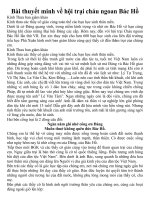 Bài thuyết minh về hội trại cháu ngoan Bác Hồ