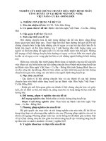 Nghiên Cứu Hội Chứng Chuyển Hóa Trên Bệnh Nhân Tăng Huyết Áp Tại Bệnh Viện Hữu Nghị Việt Nam - Cu Ba - Đồng Hới