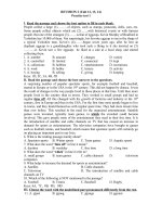 REVISION FOR THE 4TH TEST (1) 