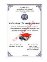 Đánh giá sự thỏa mãn trong công việc của công nhân tại chi nhánh công ty cổ phần may hàng gia dụng gilimex PPJ tại quảng trị 