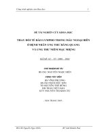 Nghiên Cứu Khoa Học Thay Đổi Tế Bào Lympho Trong Máu Ngoại Biên Ở Bệnh Nhân Ung Thư Bàng Quang Và Ung Thư Niêm Mạc Miệng