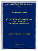 TỔ CHỨC LÃNH THỔ NÔNG NGHIỆP TỈNH TIỀN GIANG HIỆN TRẠNG VÀ GIẢI PHÁP