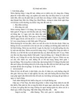 Kỹ thuật nuôi nhím nông hộ