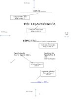 Hướng dẫn viết tiểu luận cuối khóa