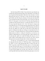 Nghiên cứu độc tính và tác dụng hỗ trợ điều trị đái tháo đường typ2 của viên nang cứng Nhất đường linh (LA tiến sĩ)