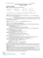 ĐỀ CƯƠNG ÔN TẬP TOÁN 9 HỌC KỲ 2- 2017