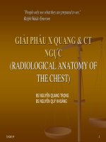 03 giaiphau xquang ct nguc bskhoang 20141030