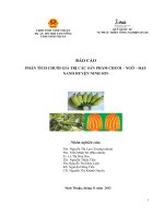 Báo Cáo Phân Tích Chuỗi Giá Trị Các Sản Phẩm Chuối – Ngô – Đậu Xanh Huyện Ninh Sơn
