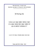 NĂNG LỰC ĐỌC HIỂU TIẾNG VIỆT CỦA HỌC SINH TIỂU HỌC NHÌN TỪ QUAN ĐIỂM LITERACY
