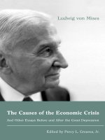 The causes of the economic crisis and other essays before and after the great depression 
