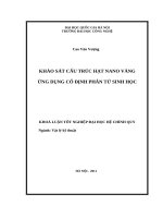 Khảo Sát Cấu Trúc Hạt Nano Vàng Ứng Dụng Cố Định Phân Tử Sinh Học kl