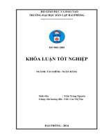 Thực trạng và giải pháp xử lý nợ xấu tại Ngân hàng TMCP Công thương Việt Nam chi nhánh Sông Nhuệ -