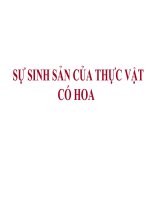 Sự sinh sản của thực vật có hoa