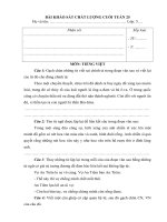 Phiếu bài tập tuần 25 lop 45