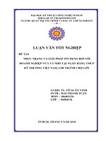 Thực trạng và giải pháp tín dụng đối với doanh nghiệp vừa và nhỏ tại ngân hàng TMCP Kỹ Thương Việt Nam, Chi nhánh Chợ Lớn