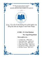 Tiểu luận Các yếu tố ảnh hưởng tới sự đói nghèo của đồng bào dân tộc Raglai ở tỉnh Ninh Thuận