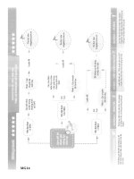 mega luyện đề THPT quốc gia 2017 trắc nghiệm môn sinh học
