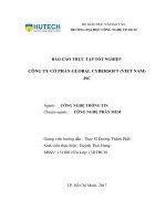 báo cáo thực tập tốt nghiệp  công ty cổ phần global cybersoft (viet nam) jsc