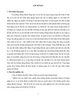 Ứng dụng quyền chọn chứng khoán để kinh doanh và phòng ngừa rủi ro trên Sở giao dịch chứng khoán TP.HCM